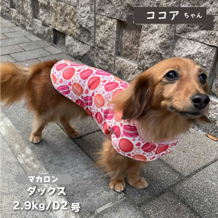 裏ボアコート 小型犬・ダックス用 - VERY-PET