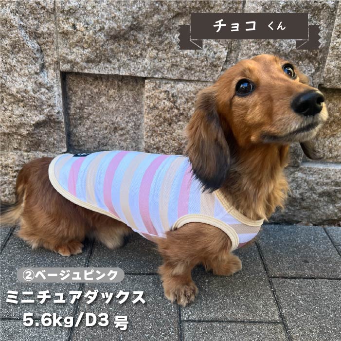 【接触冷感&濡らして冷たい】<br>クールボーダータンク 小型犬・胴長・ダックス - VERY-PET