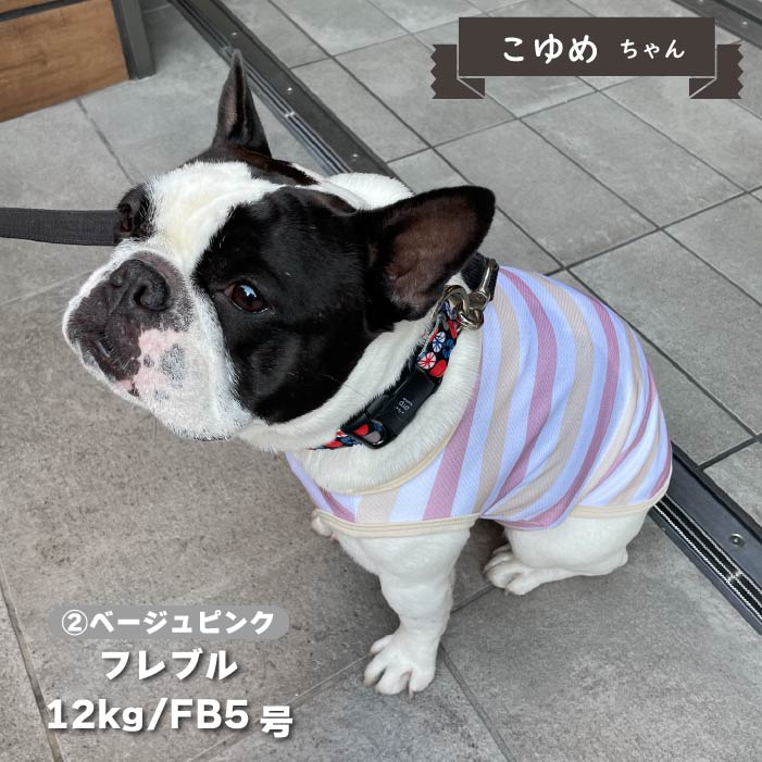 【接触冷感&濡らして冷たい】<br>クールボーダータンク フレブル・パグ - VERY-PET