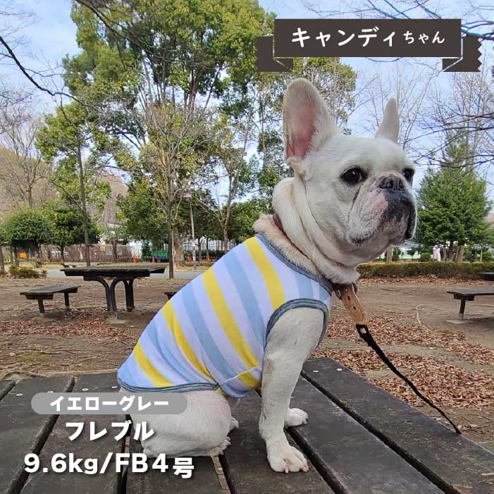 【接触冷感&濡らして冷たい】<br>クールボーダータンク フレブル・パグ - VERY-PET