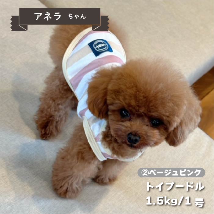 【接触冷感&amp;濡らして冷たい】<br>クールボーダータンク 小型犬・胴長・ダックス - VERY-PET