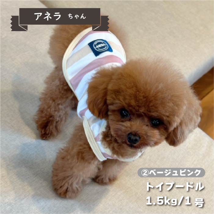 【接触冷感&濡らして冷たい】<br>クールボーダータンク 小型犬・胴長・ダックス - VERY-PET