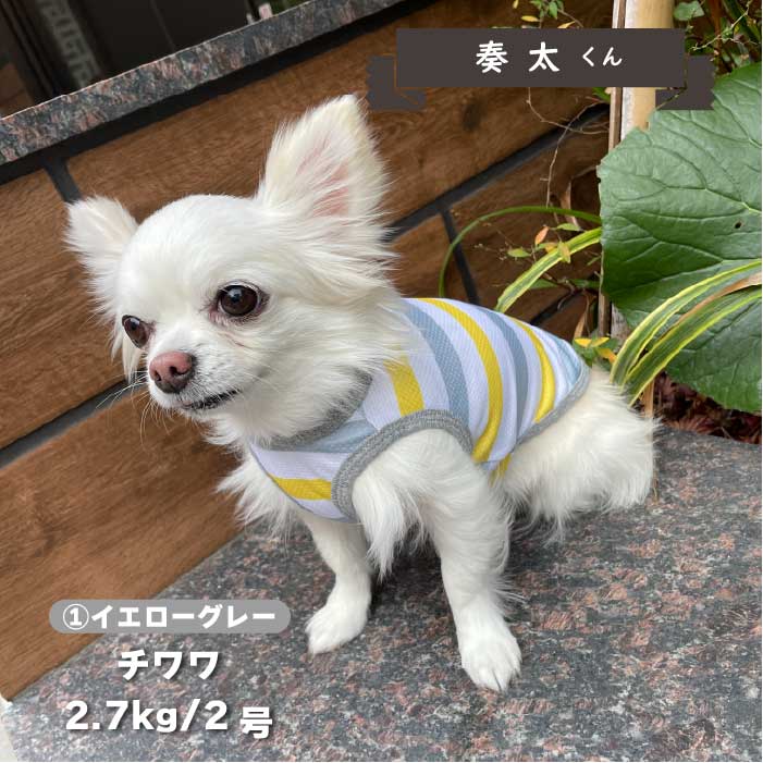 【接触冷感&amp;濡らして冷たい】<br>クールボーダータンク 小型犬・胴長・ダックス - VERY-PET