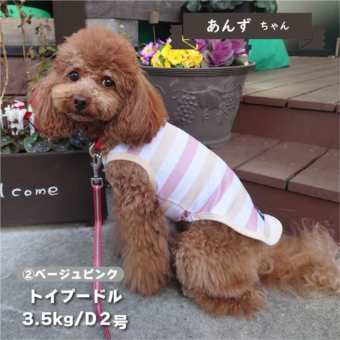 【接触冷感&amp;濡らして冷たい】<br>クールボーダータンク 小型犬・胴長・ダックス - VERY-PET