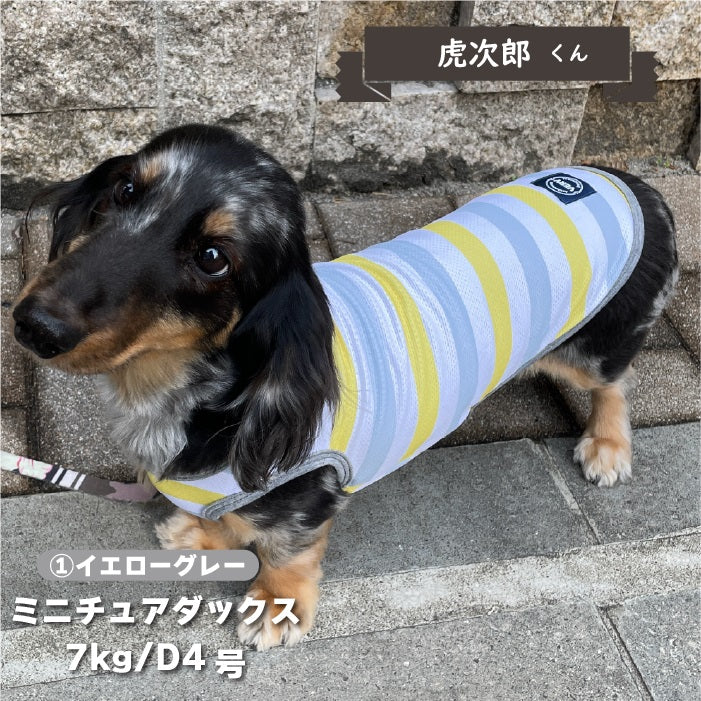 【接触冷感&濡らして冷たい】<br>クールボーダータンク 小型犬・胴長・ダックス - VERY-PET