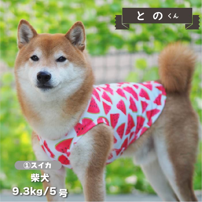 【接触冷感&amp;濡らして冷たい】<br>クールプリントタンク 小型犬・胴長・ダックス - VERY-PET