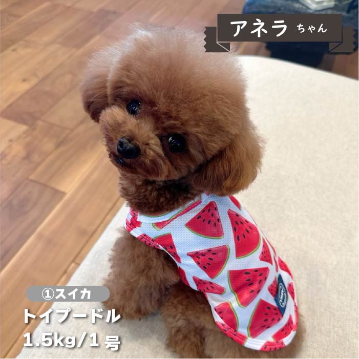 【接触冷感&amp;濡らして冷たい】<br>クールプリントタンク 小型犬・胴長・ダックス - VERY-PET