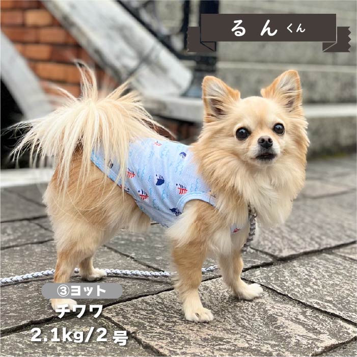 【接触冷感&濡らして冷たい】<br>クールプリントタンク 小型犬・胴長・ダックス - VERY-PET