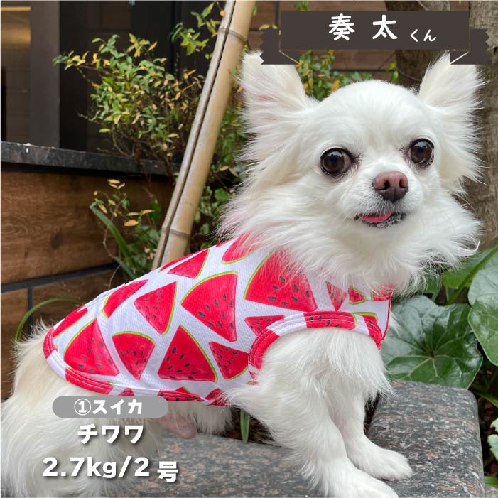 【接触冷感&濡らして冷たい】<br>クールプリントタンク 小型犬・胴長・ダックス - VERY-PET