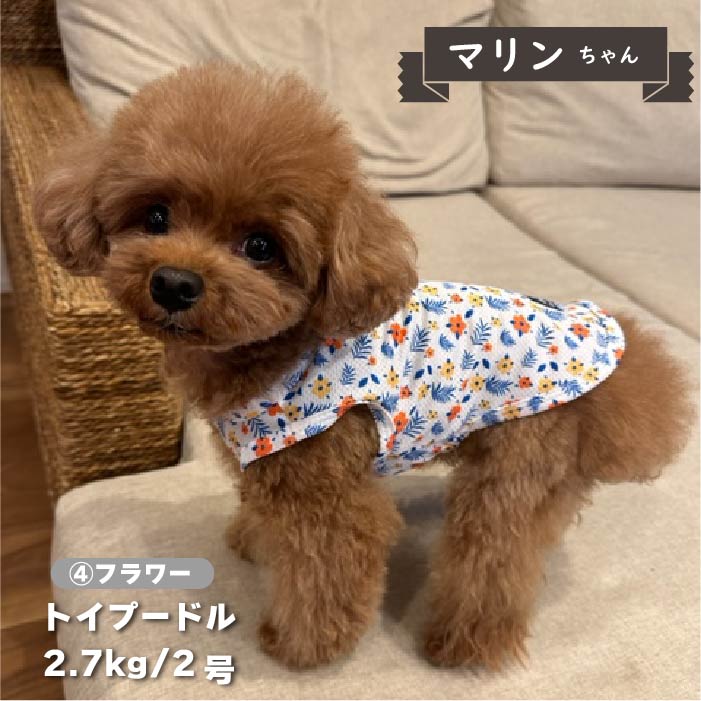 【接触冷感&amp;濡らして冷たい】<br>クールプリントタンク 小型犬・胴長・ダックス - VERY-PET