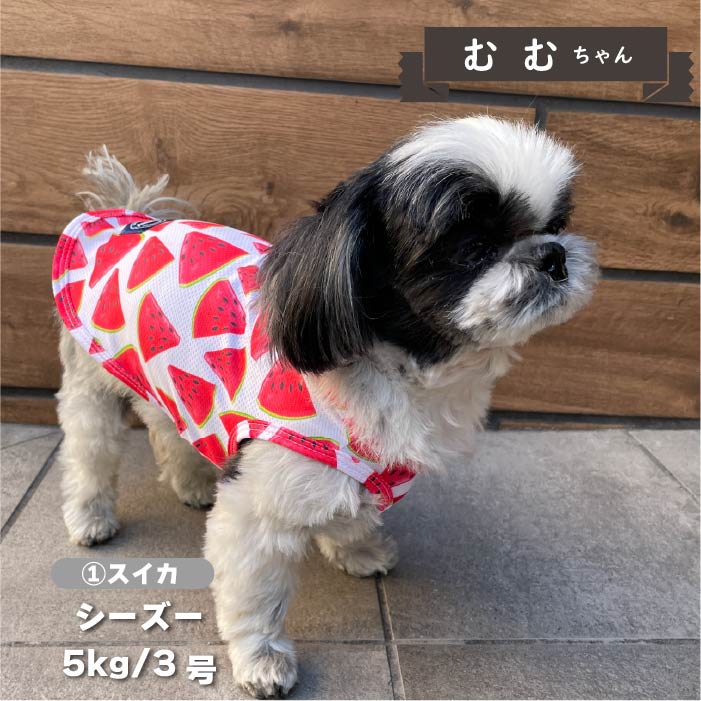 【接触冷感&濡らして冷たい】<br>クールプリントタンク 小型犬・胴長・ダックス - VERY-PET