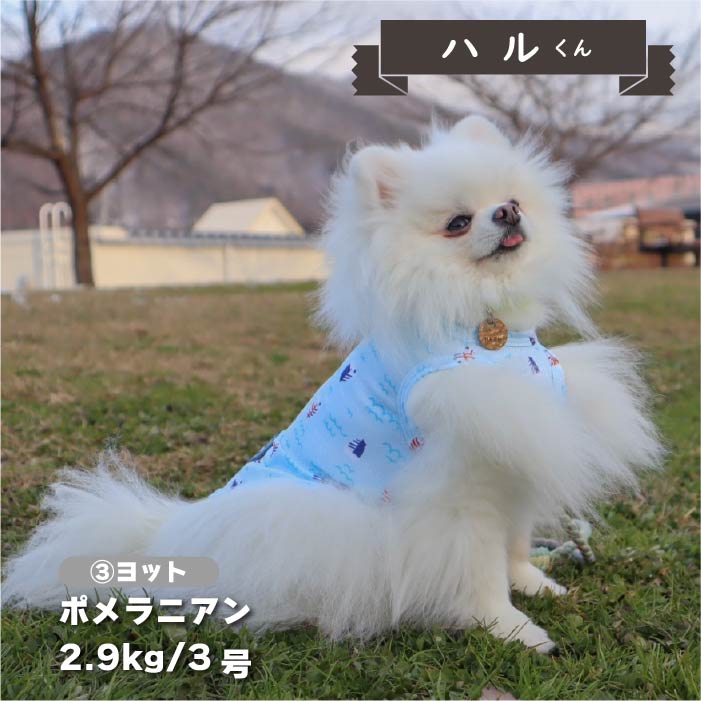 【接触冷感&amp;濡らして冷たい】<br>クールプリントタンク 小型犬・胴長・ダックス - VERY-PET