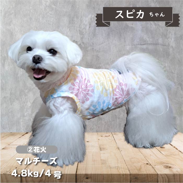 【接触冷感&濡らして冷たい】<br>クールプリントタンク 小型犬・胴長・ダックス - VERY-PET