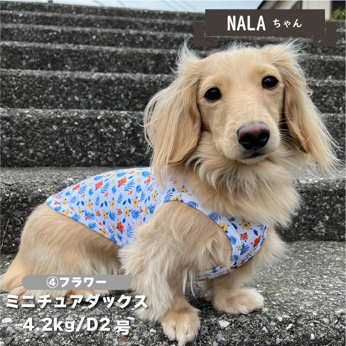 【接触冷感&amp;濡らして冷たい】<br>クールプリントタンク 小型犬・胴長・ダックス - VERY-PET