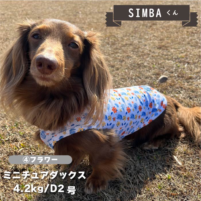 【接触冷感&amp;濡らして冷たい】<br>クールプリントタンク 小型犬・胴長・ダックス - VERY-PET