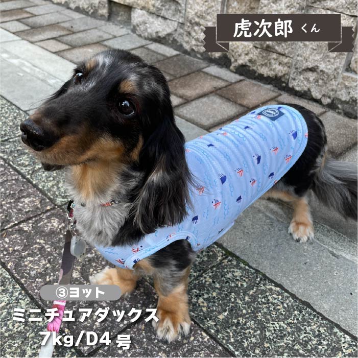 【接触冷感&濡らして冷たい】<br>クールプリントタンク 小型犬・胴長・ダックス - VERY-PET