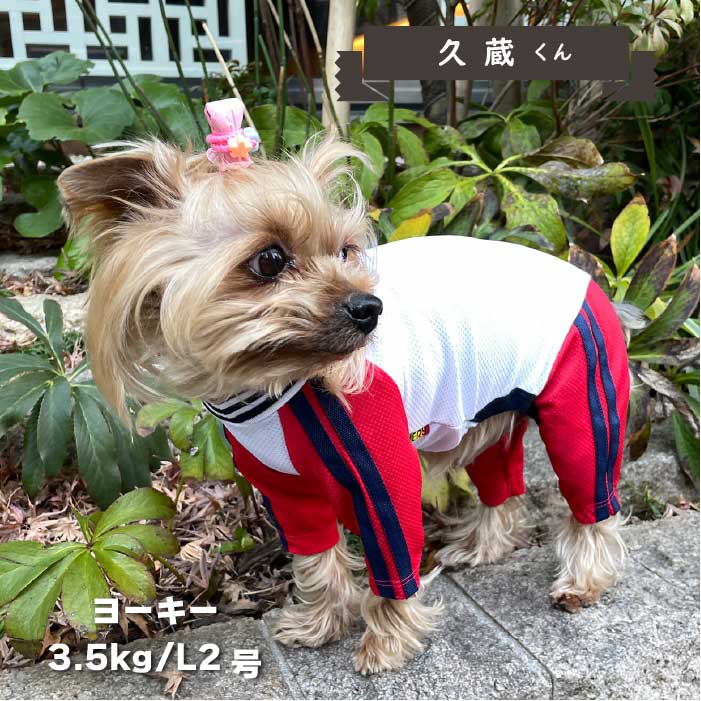 COOLジャージ風カバーオール 小型犬・胴長足長 - VERY-PET