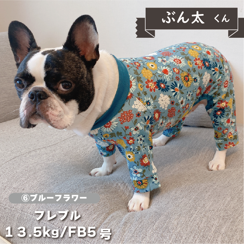 Web限定プリントカバーオール フレブル・パグ用 - VERY-PET