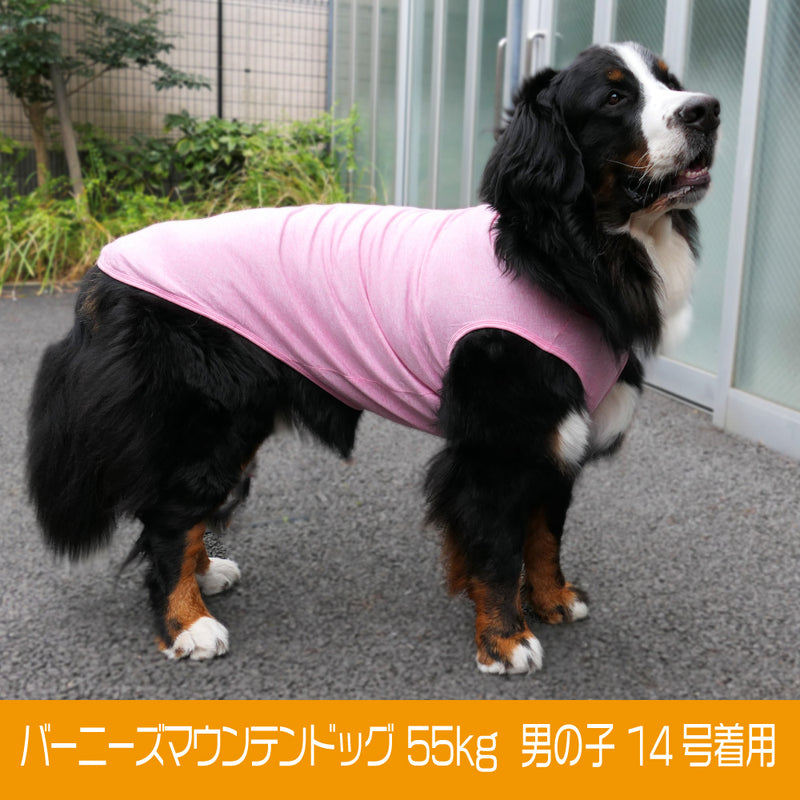 犬　服　VERY　ベリー　超大型犬　コットンタンクトップ【綿100％】ペット 服 おしゃれ かわいい  犬服 プチプラ 大型犬 - VERY-PET