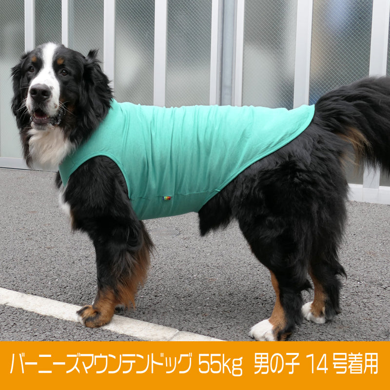 犬　服　VERY　ベリー　超大型犬　コットンタンクトップ【綿100％】ペット 服 おしゃれ かわいい  犬服 プチプラ 大型犬 - VERY-PET