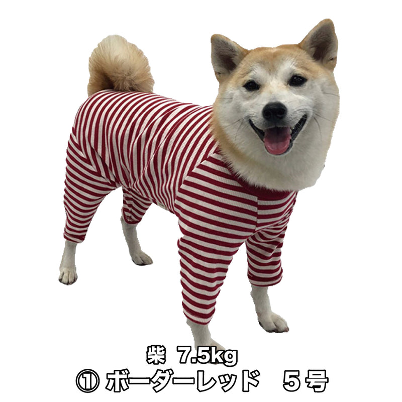 Web限定カバーオール　レッドボーダー系 - VERY-PET