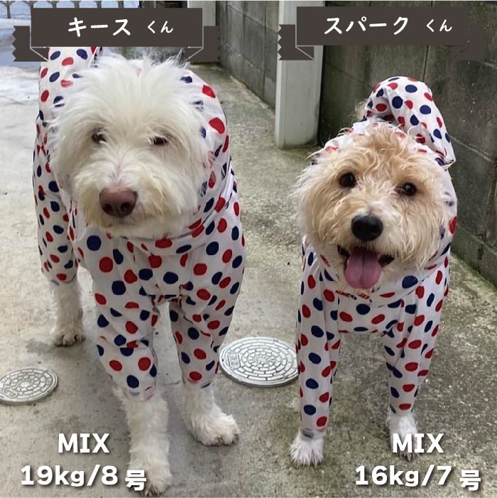 ストレッチフルカバー レインコート 4脚 中型犬 - VERY-PET