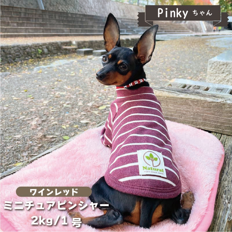 【在庫限り】長袖 ボーダーシャツ 小型犬 - VERY-PET