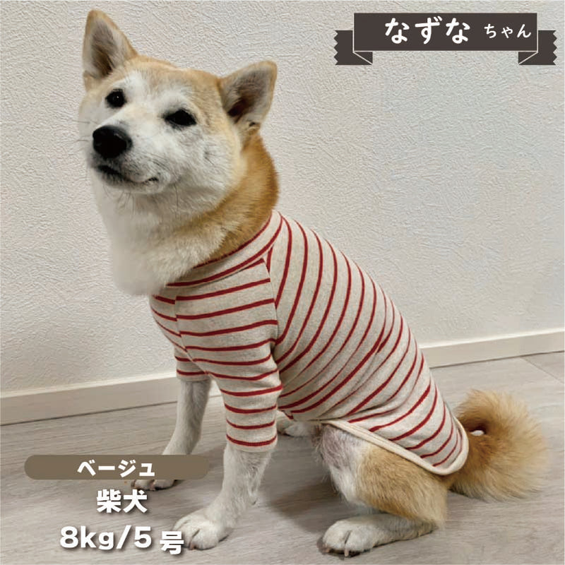 【在庫限り】長袖 ボーダーシャツ 小型犬 - VERY-PET