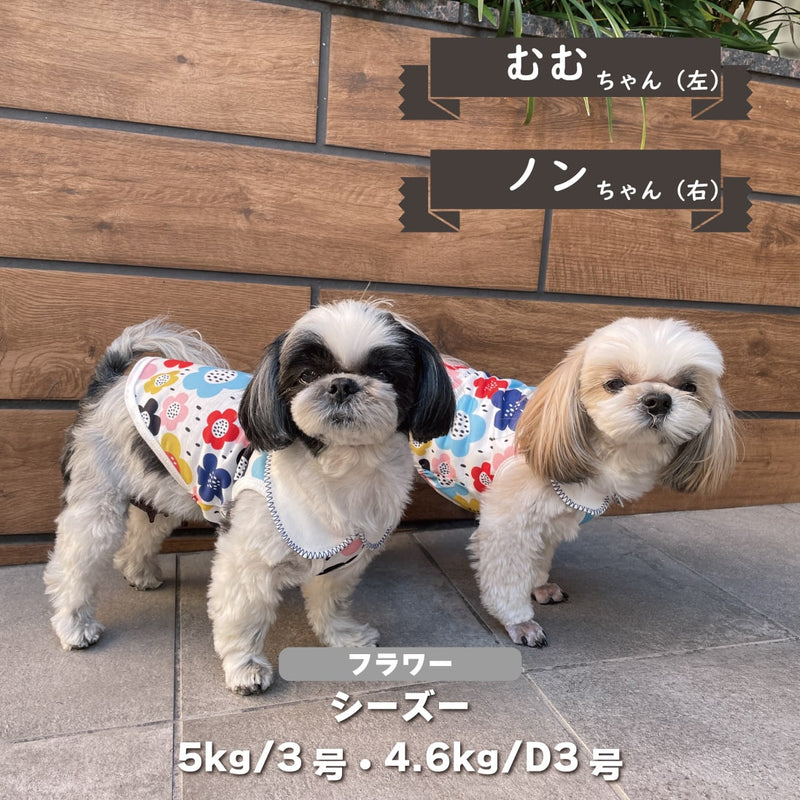 【2点以上購入で50％OFF】丸衿付きタンクトップ　小型・胴長・ダックス - VERY-PET