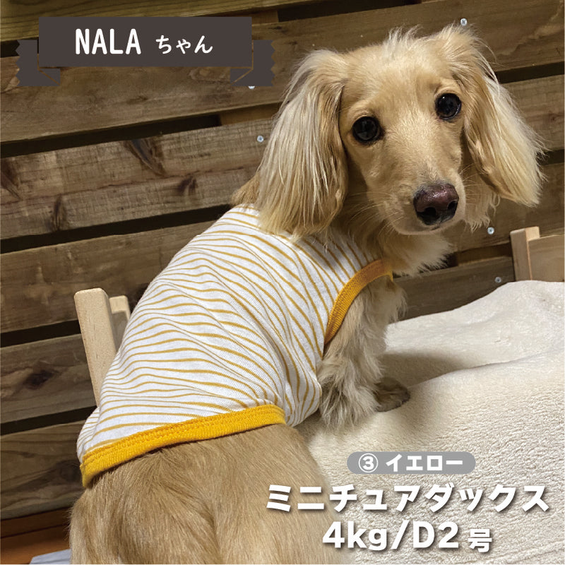 【Web限定】ボーダータンクトップ 2 小型犬 - VERY-PET