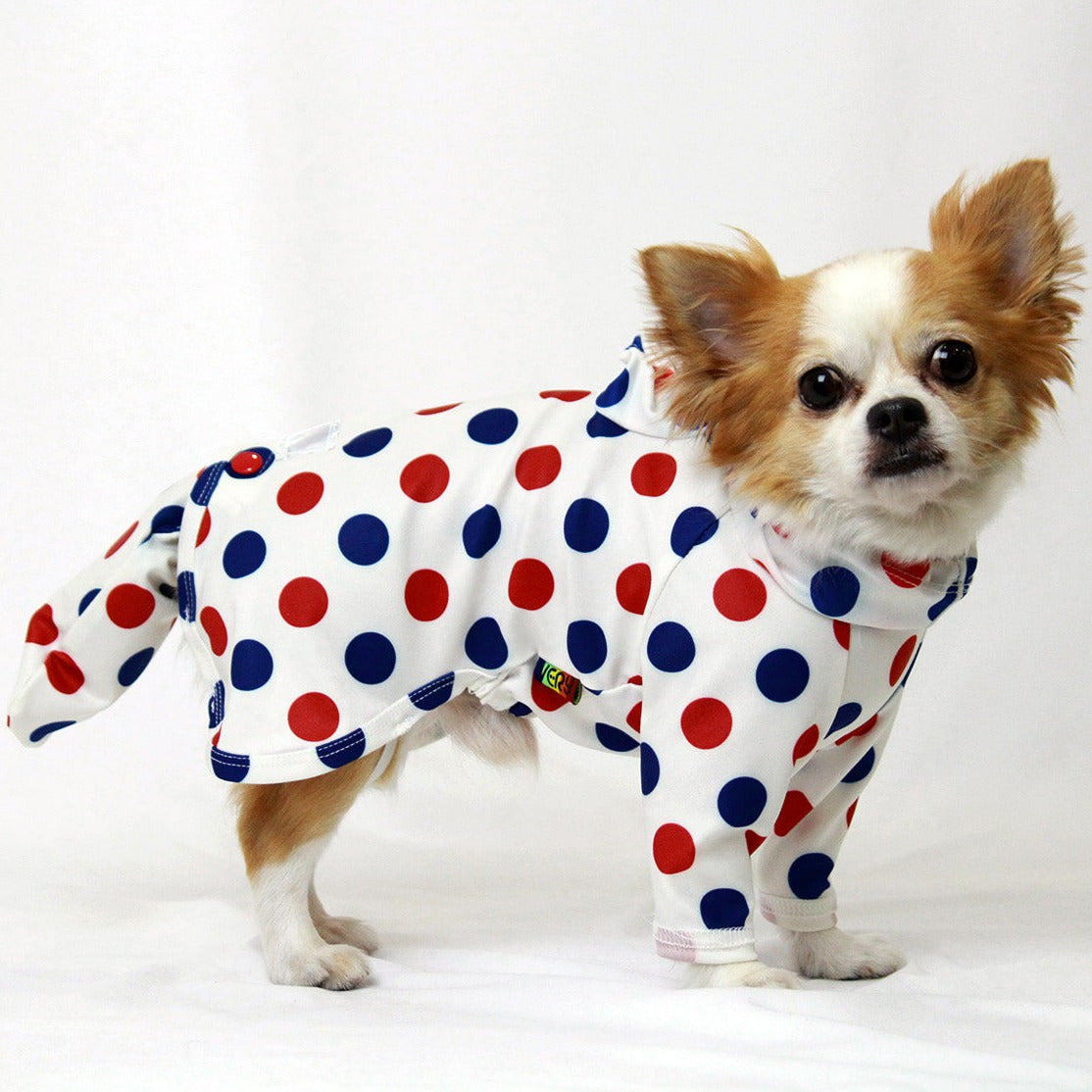 VERY水玉模様の犬服 サイズ3　 新品 水玉柄ストレッチフルカバーレインコート – VERY-PET