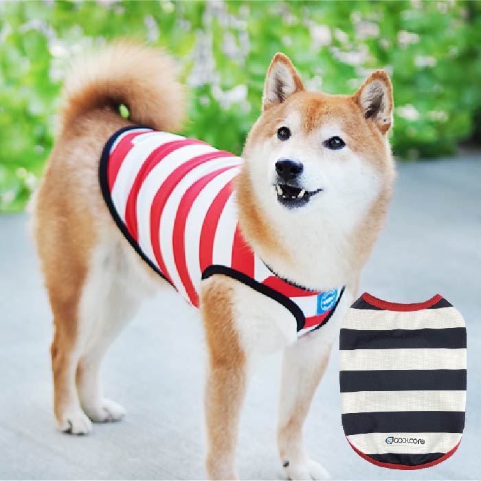 【4月末再入荷あり】<br>濡らして冷たいCoolcoreボーダータンク 小型犬・胴長・ダックス - VERY-PET