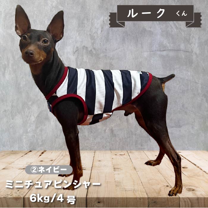 【4月末再入荷あり】<br>濡らして冷たいCoolcoreボーダータンク 小型犬・胴長・ダックス - VERY-PET