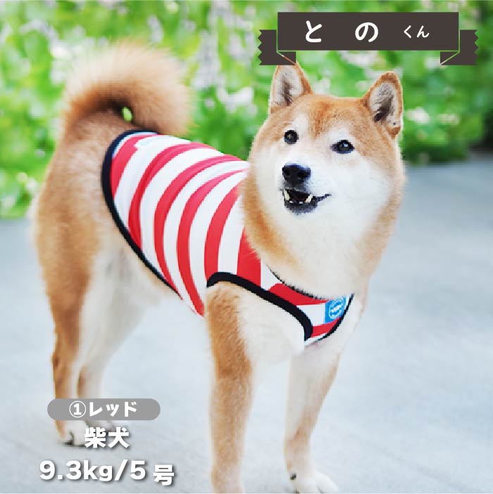 【4月末再入荷あり】<br>濡らして冷たいCoolcoreボーダータンク 小型犬・胴長・ダックス - VERY-PET