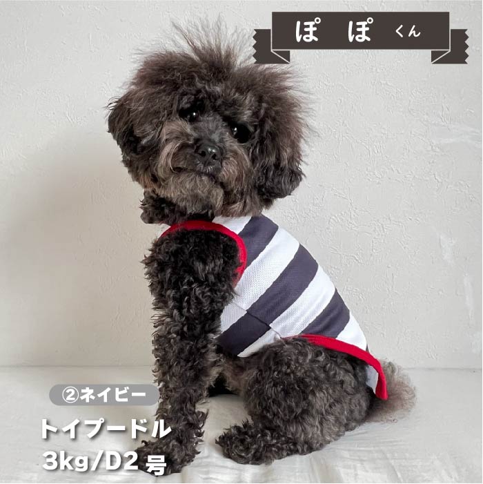 【4月末再入荷あり】<br>濡らして冷たいCoolcoreボーダータンク 小型犬・胴長・ダックス - VERY-PET