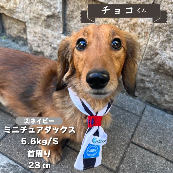 【濡らして冷たい】<br>Coolcore 2WAYバンダナ S - VERY-PET