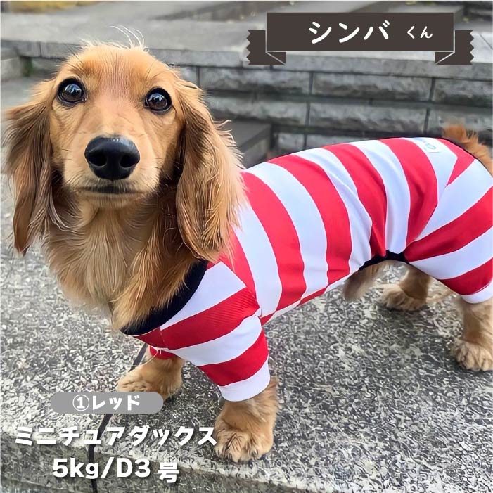 【4月末再入荷あり】<br>　濡らして冷たいCoolcoreボーダーカバーオール ダックス - VERY-PET