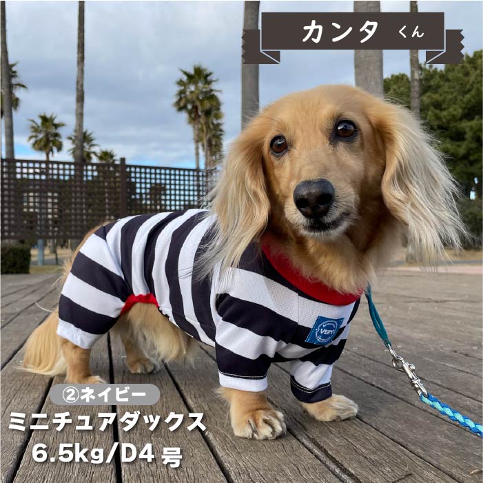 【4月末再入荷あり】<br>　濡らして冷たいCoolcoreボーダーカバーオール ダックス - VERY-PET