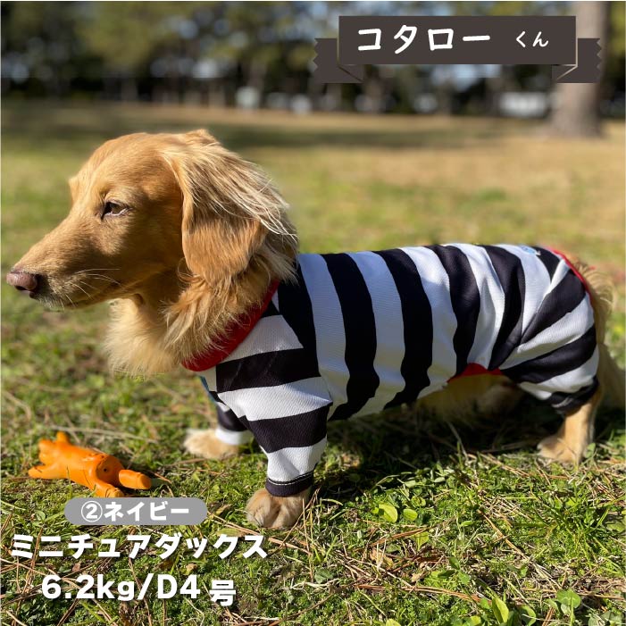 【4月末再入荷あり】<br>　濡らして冷たいCoolcoreボーダーカバーオール ダックス - VERY-PET