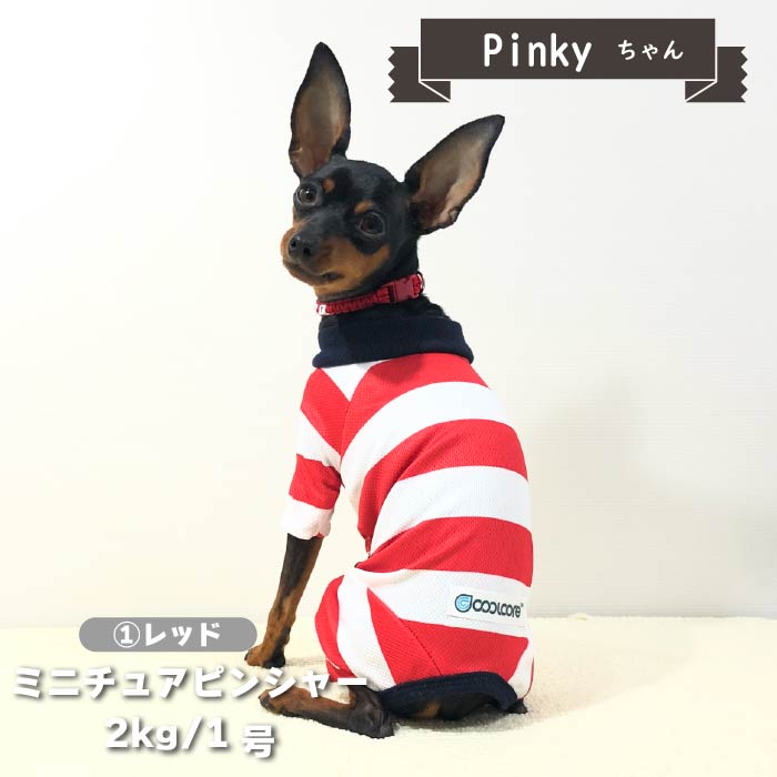 【4月末再入荷あり】<br>濡らして冷たいCoolcoreボーダーカバーオール 小型犬・胴長 - VERY-PET