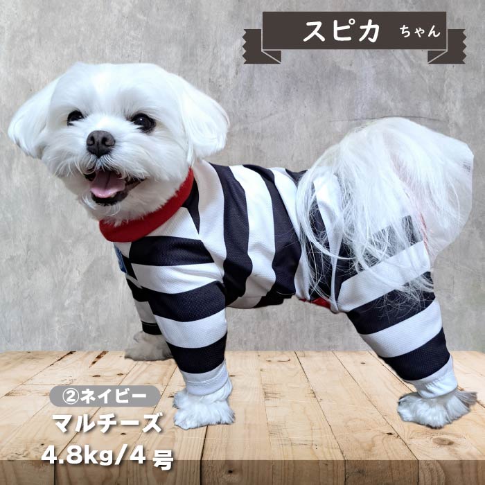 【4月末再入荷あり】<br>濡らして冷たいCoolcoreボーダーカバーオール 小型犬・胴長 - VERY-PET