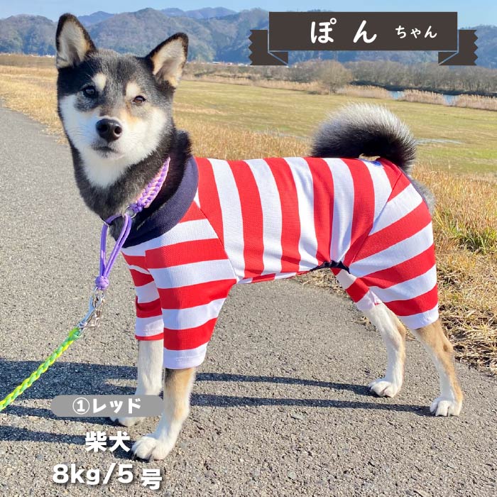 【4月末再入荷あり】<br>濡らして冷たいCoolcoreボーダーカバーオール 小型犬・胴長 - VERY-PET