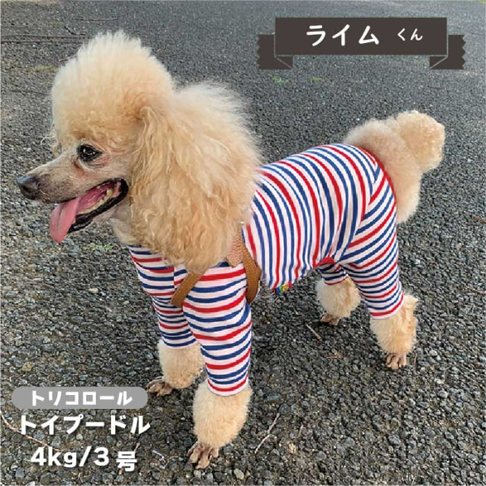 ボーダーカバーオール 小型犬 - VERY-PET