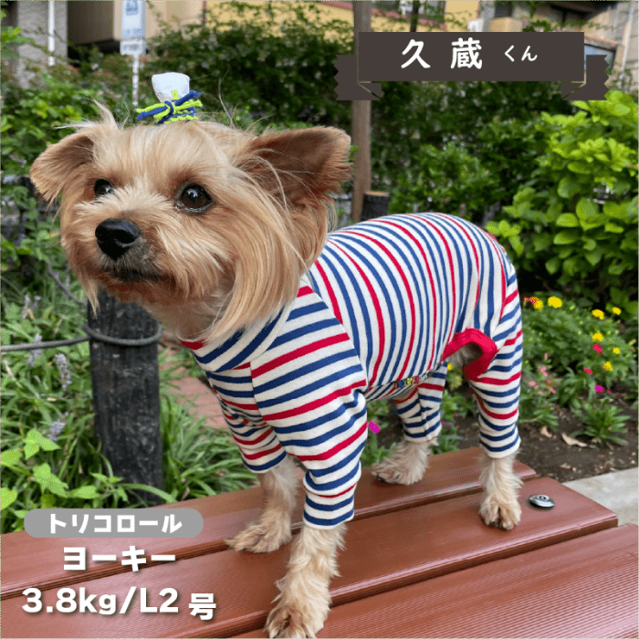 ボーダーカバーオール 小型犬 - VERY-PET