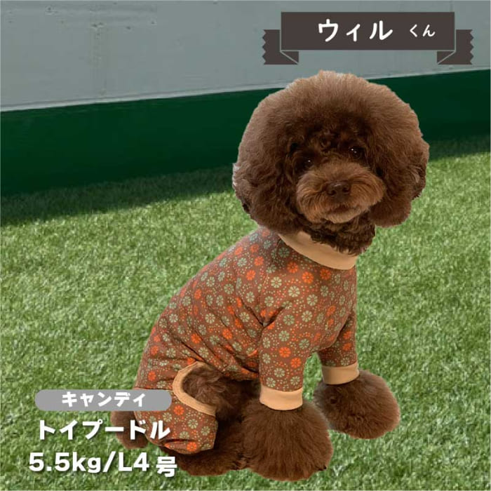 裏起毛プリントカバーオール 小型犬 - VERY-PET