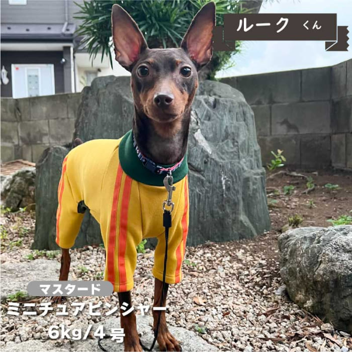 ジャージ風カバーオール 小型犬 - VERY-PET