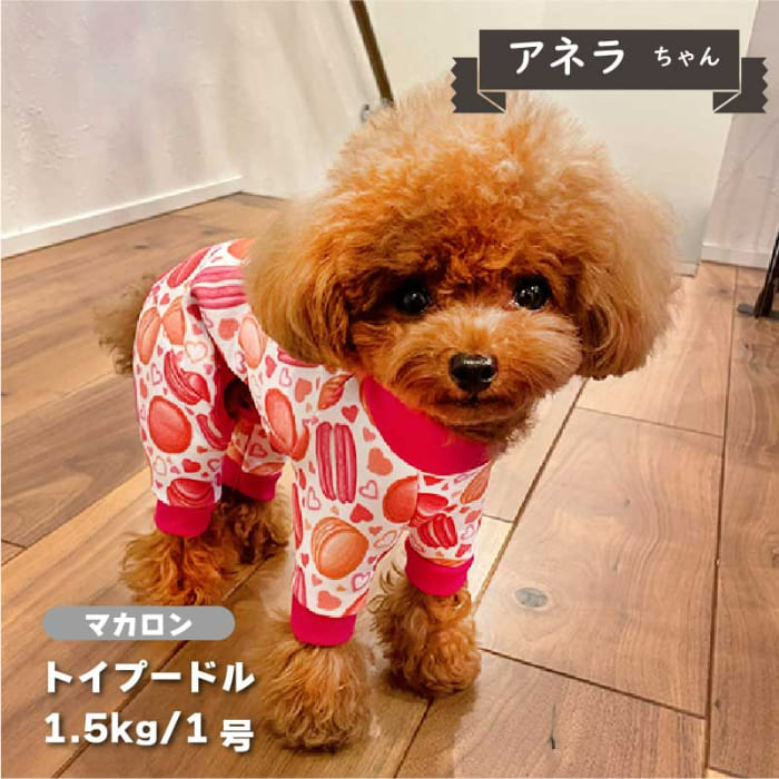 裏起毛プリントカバーオール 小型犬 - VERY-PET