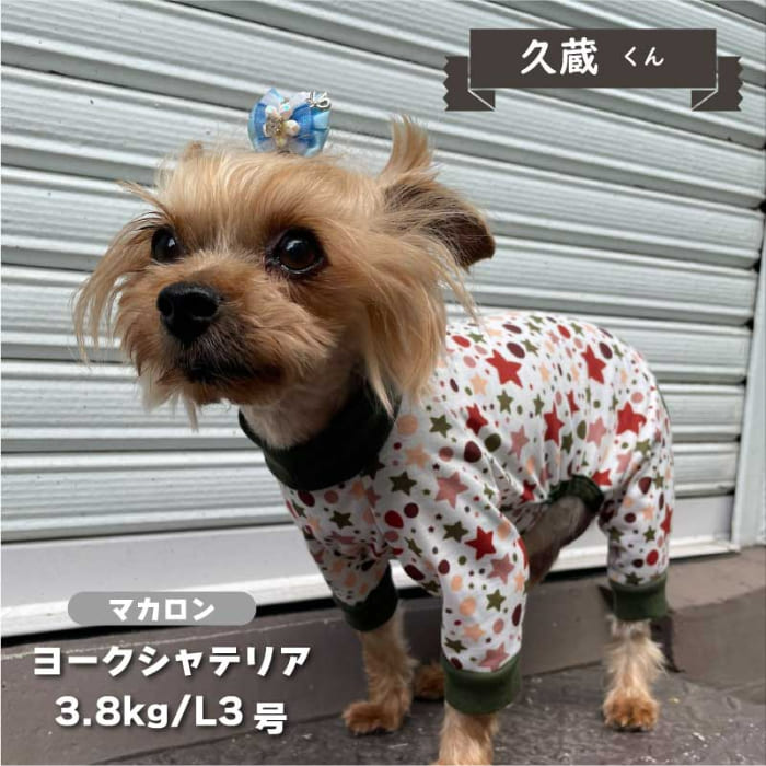 裏起毛プリントカバーオール 小型犬 - VERY-PET