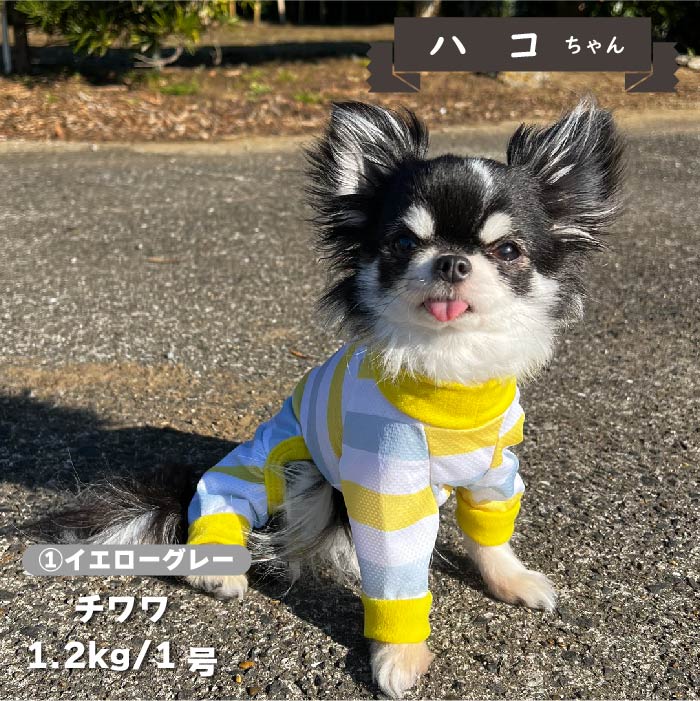 【接触冷感&amp;濡らして冷たい】<br>クールボーダーカバーオール 小型犬・胴長 - VERY-PET