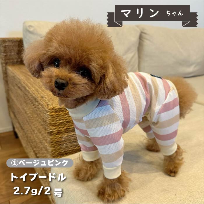 【接触冷感&amp;濡らして冷たい】<br>クールボーダーカバーオール 小型犬・胴長 - VERY-PET